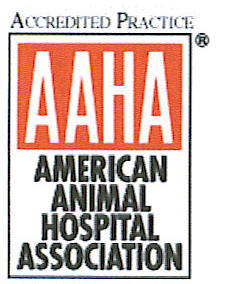  Click Here to Visit the AAHA Web Site