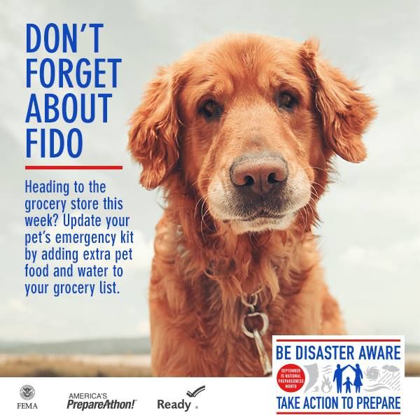FEMA Disaster Pet Preparedness